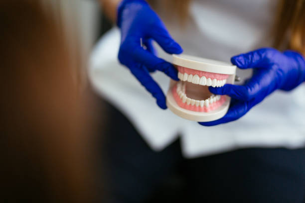  International Falls, MN Holistic Dental Services Pros